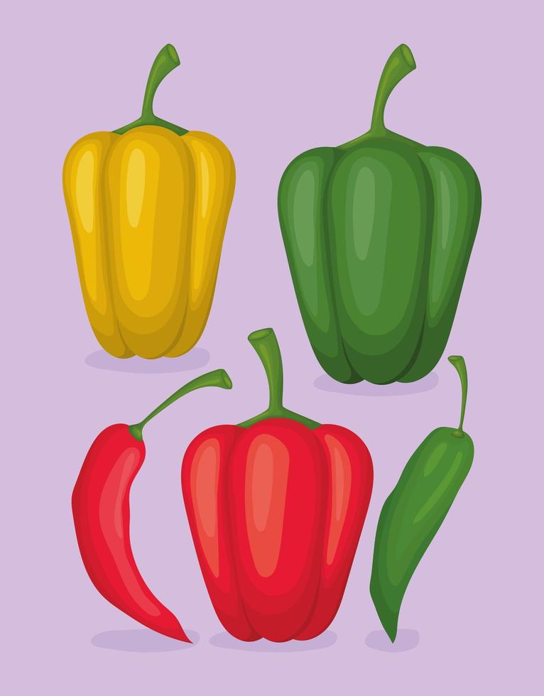 five healthy pepper vector