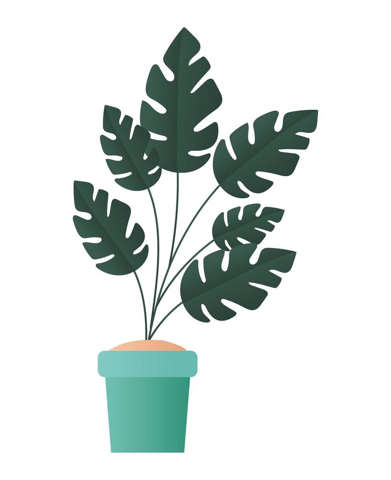 Isolated plant inside pot vector design