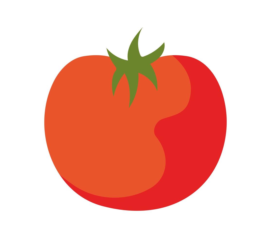 ilustración de tomate rojo vector