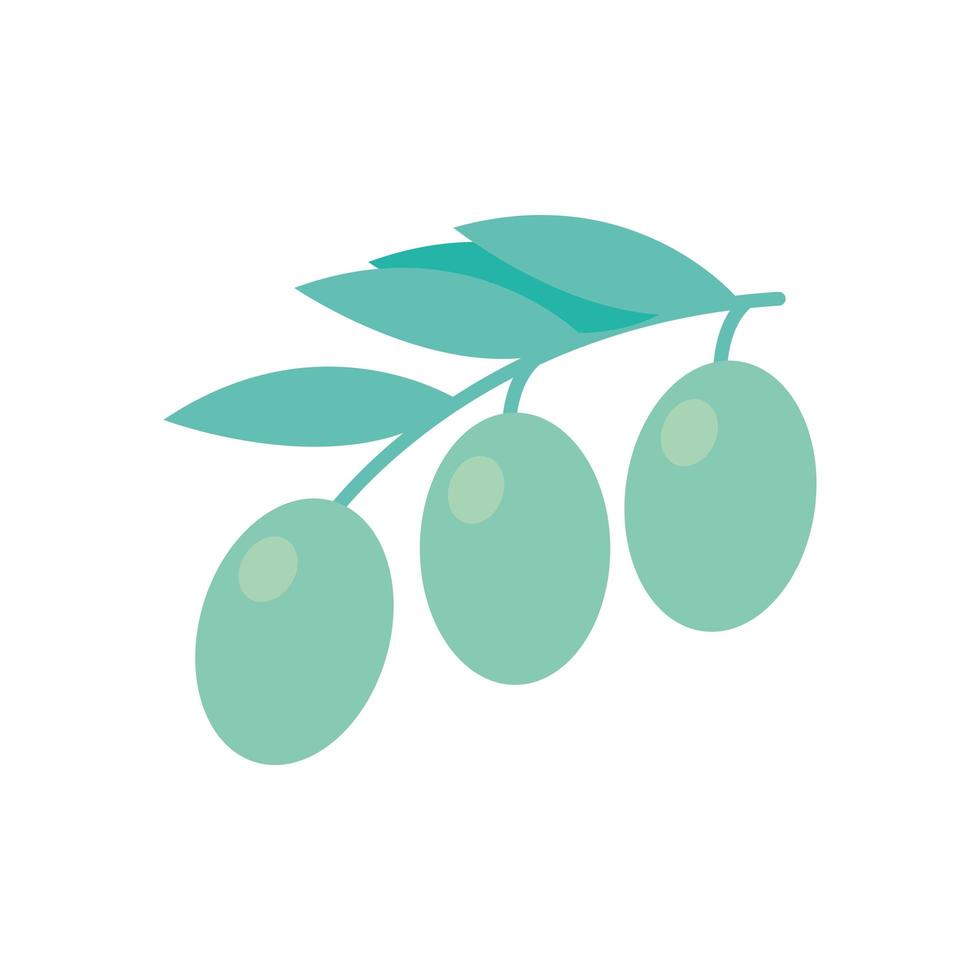 diseño de vector de icono de estilo plano de aceitunas