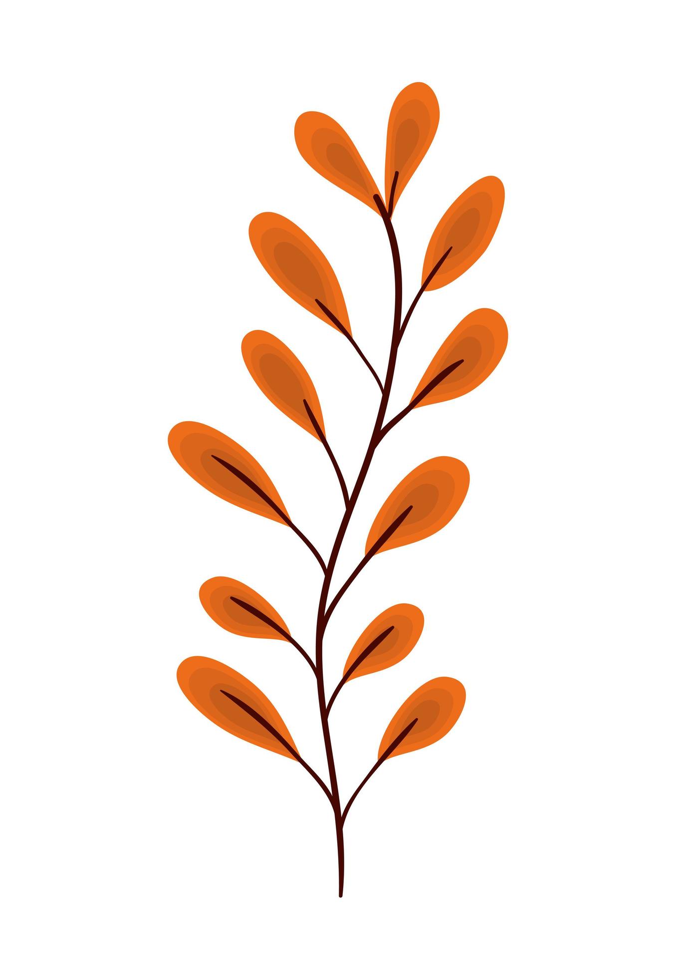 Isolated orange leaf vector design 4077214 Vector Art at Vecteezy