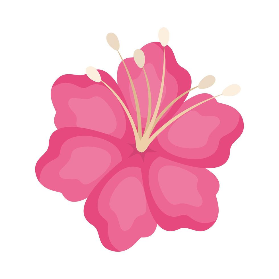 diseño de vector de flor hawaiana rosa aislado