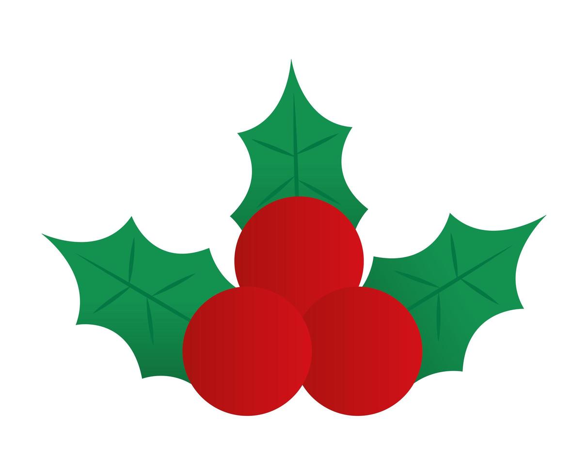 mistletoe icon on a white background vector