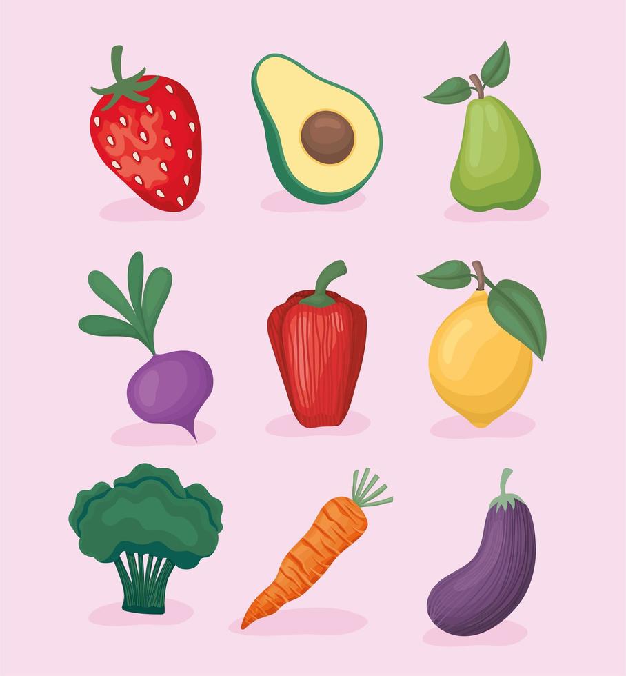 nine healthy food vector