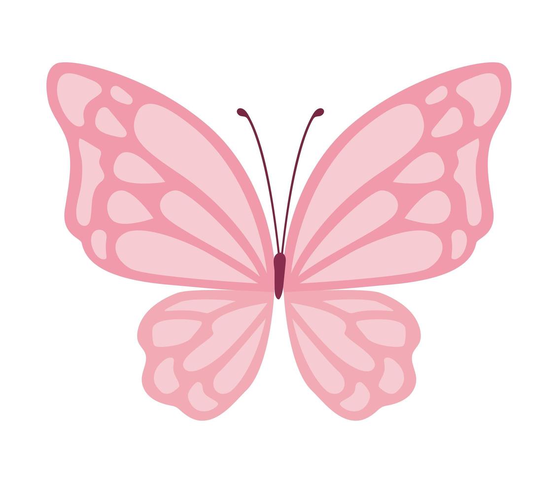 cute pink butterfly vector design
