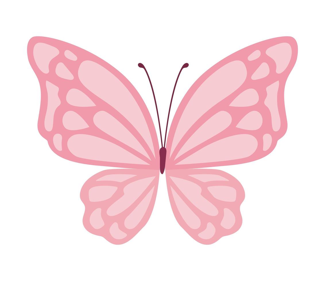 lindo diseño de vector de mariposa rosa