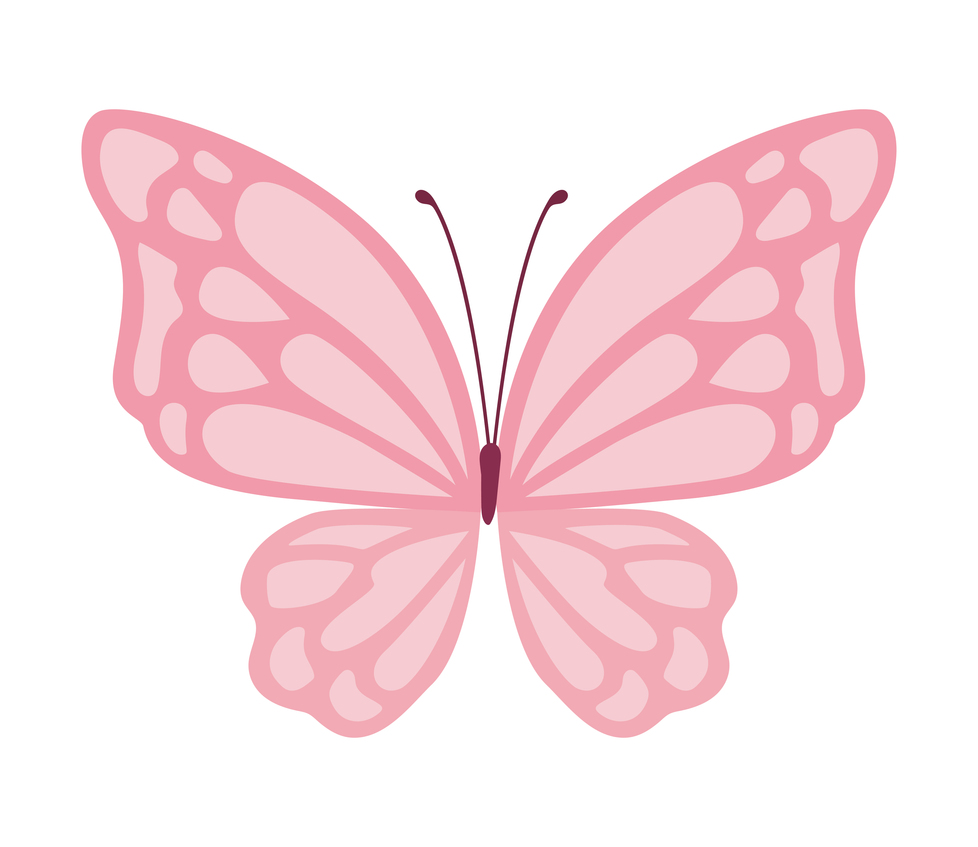 Butterfly Vector Icons, and Graphics for Download