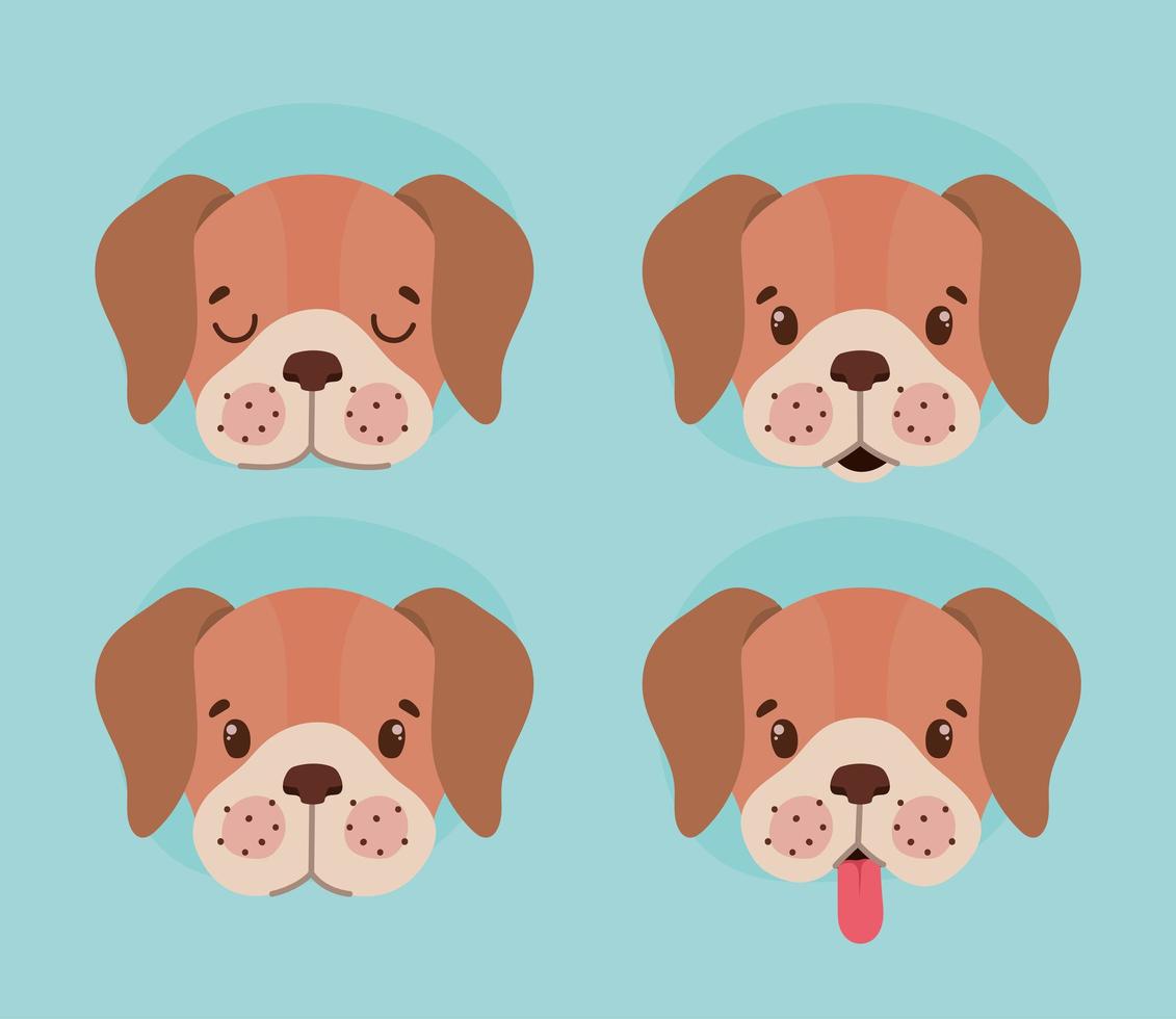 cuatro caras de perro vector