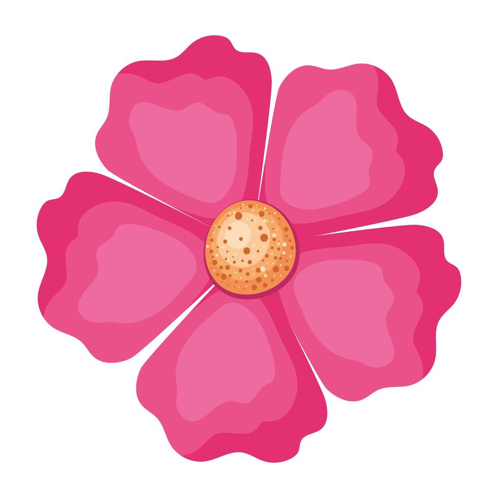 Isolated pink flower vector design