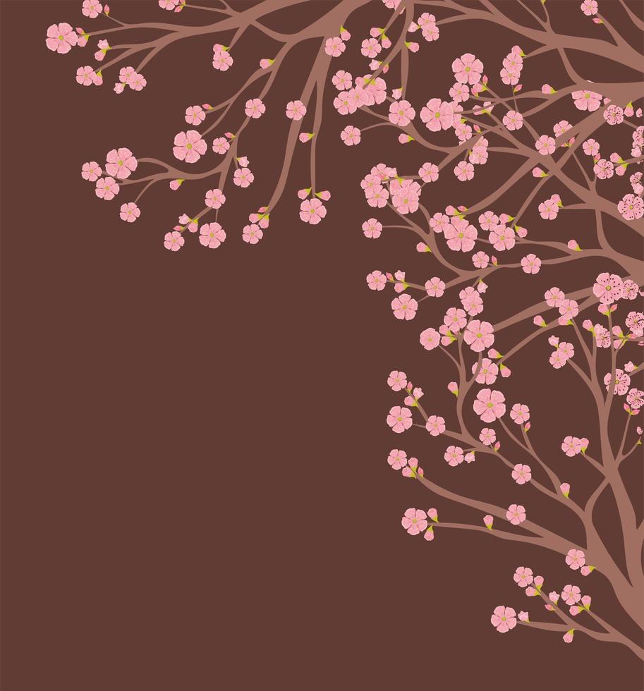 sakura tree frame vector