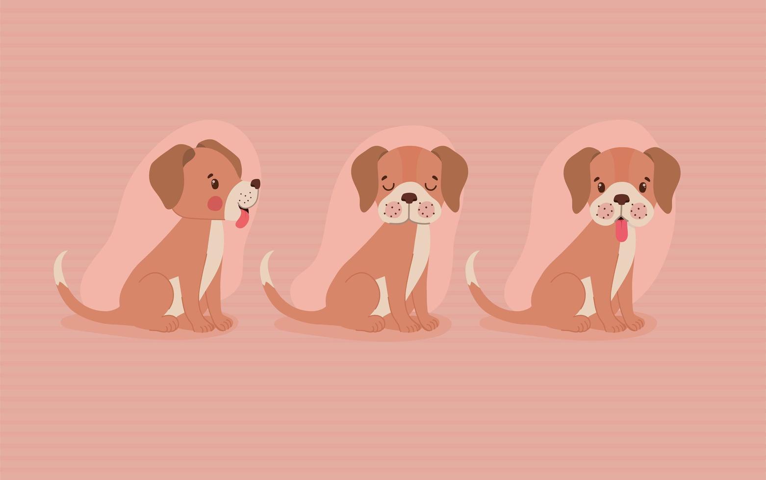 three pretty puppies vector