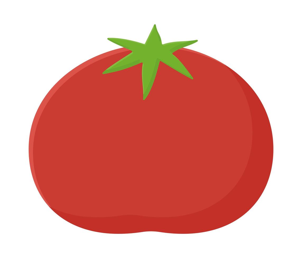 diseño de tomate rojo vector