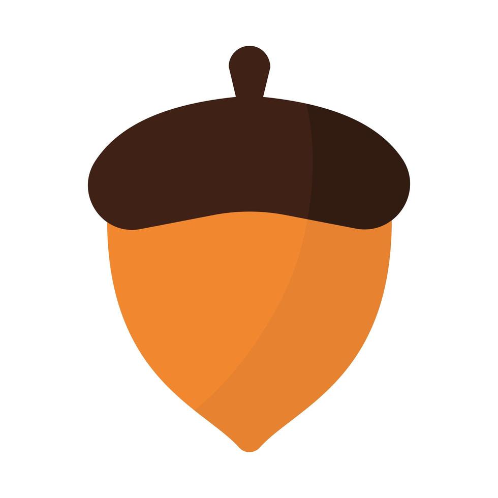 acorn with a brown color vector