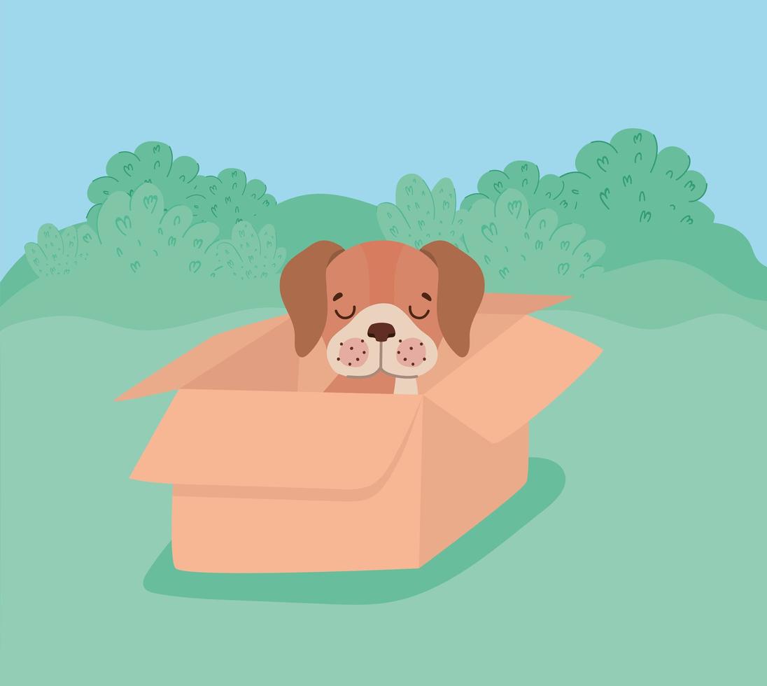 dog with singboard vector