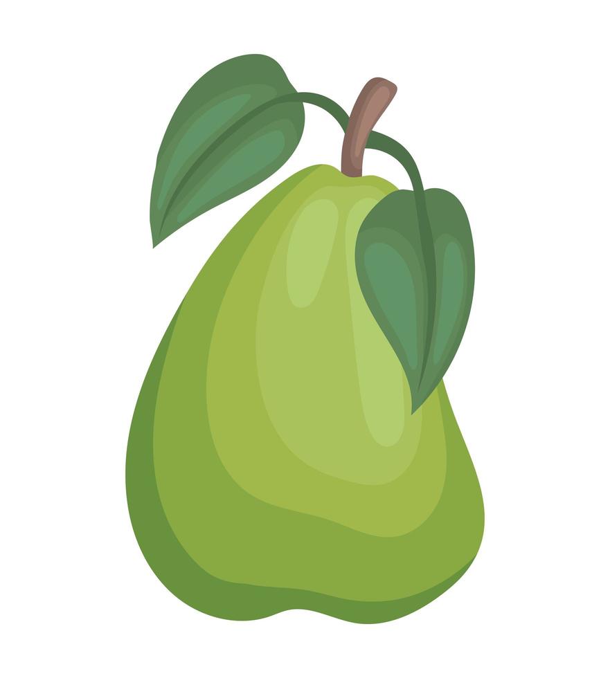 ilustración de pera verde vector