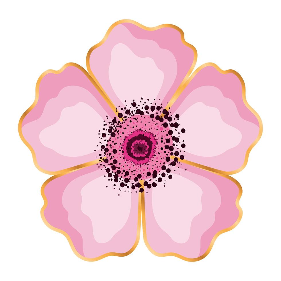 Isolated pink flower vector design