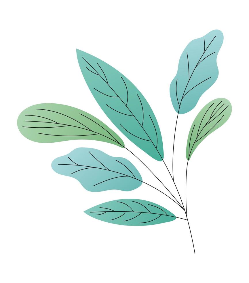 leaves of different type of green over white background vector