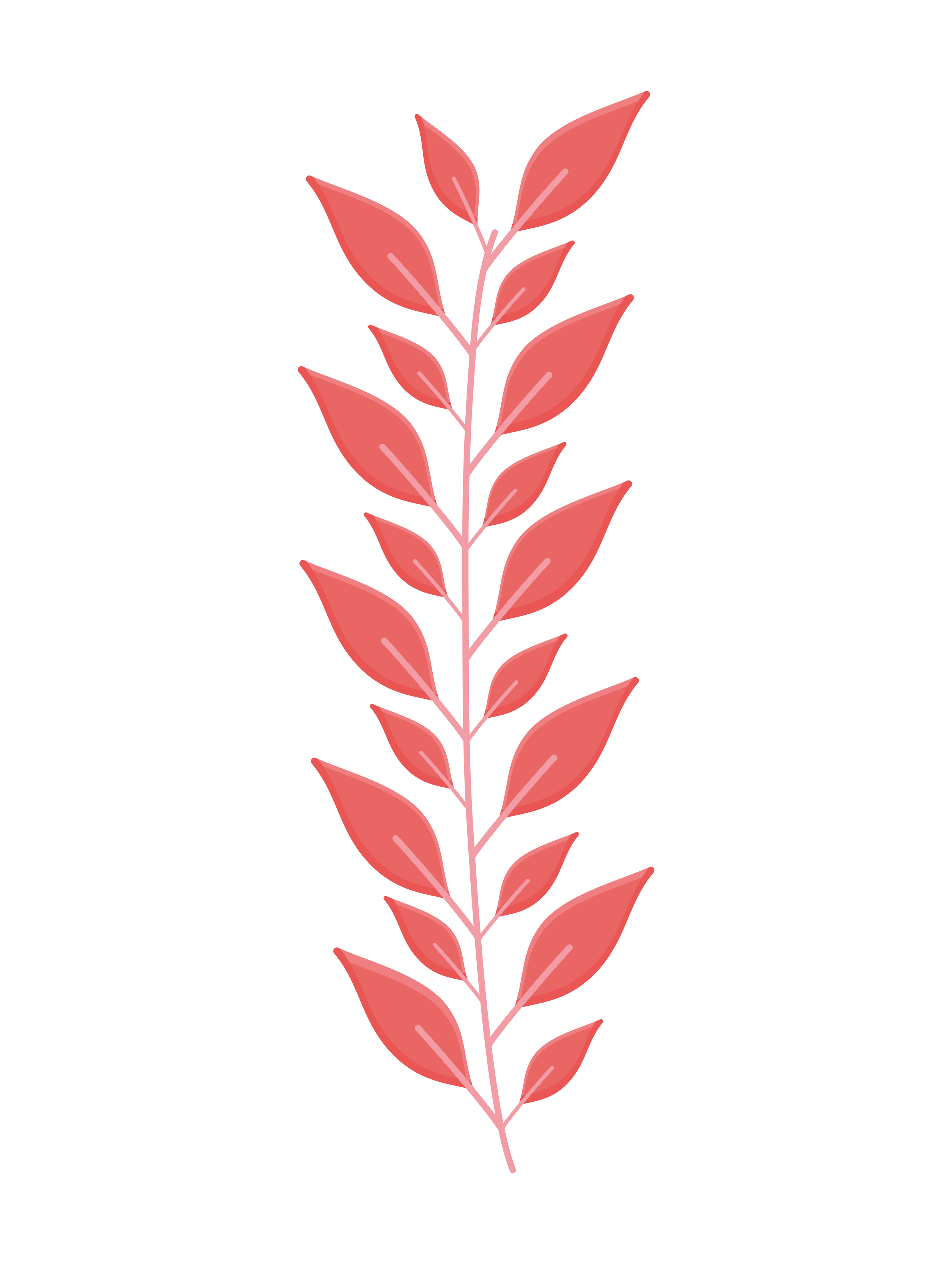 pink leaves design 4083631 Vector Art at Vecteezy