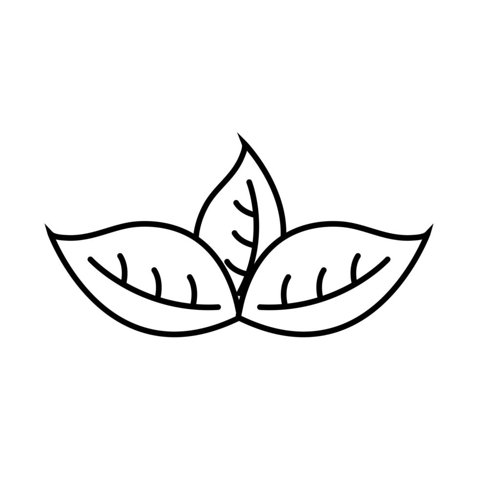 three leaves line style icon vector design