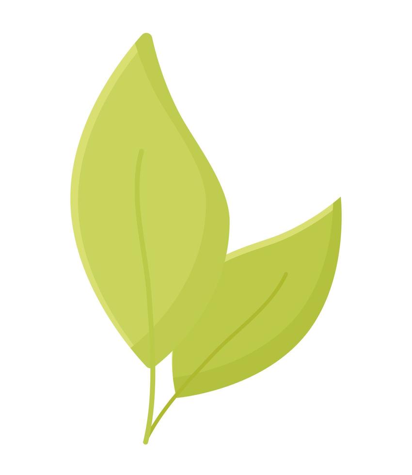 two leaves design vector