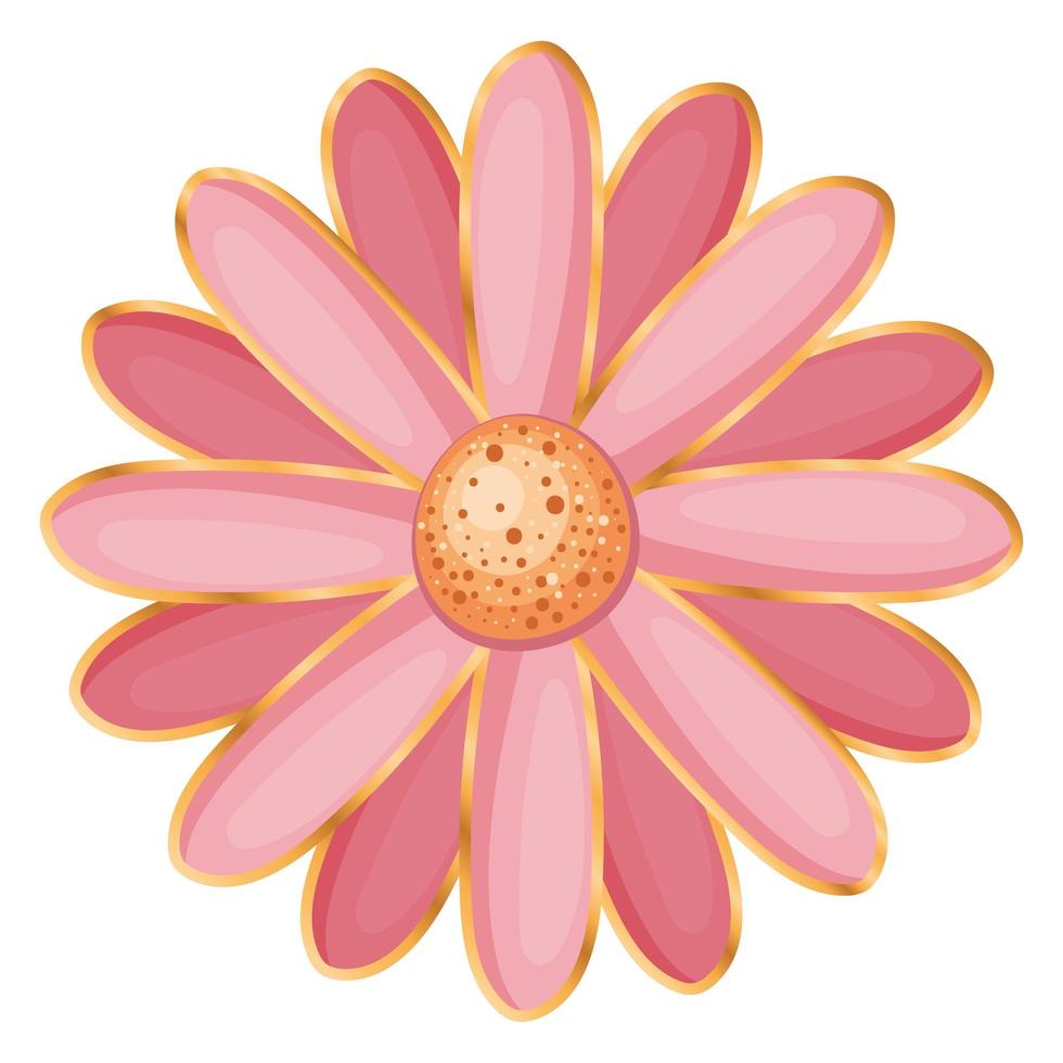 Isolated pink flower vector design