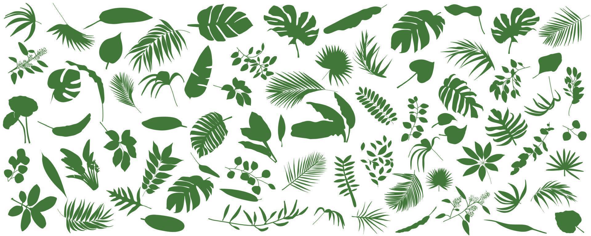 conjunto de hojas tropicales. ilustración vectorial de varios follaje verde aislado en blanco. vector