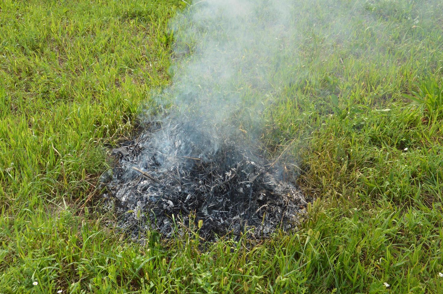 A bonfire with dry plants is burning on a land plot with fire and smoke photo