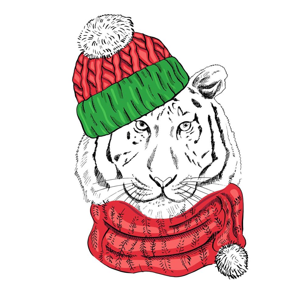 Retrato dibujado a mano de un tigre de año nuevo con una bufanda y un gorro de punto. ilustración vectorial. boceto de línea vintage. ilustración de navidad. vector