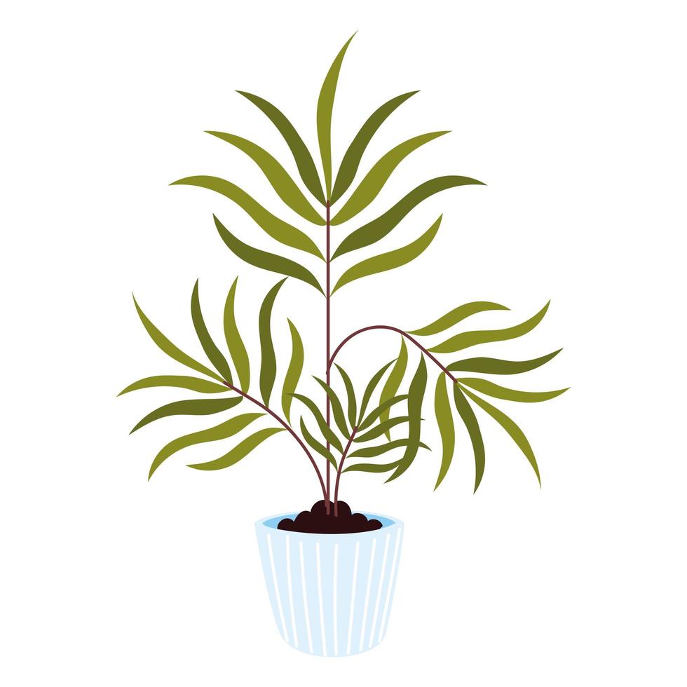 houseplant leaves decoration vector