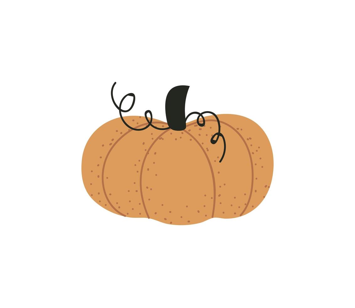pumpkin fresh vegetable harvest icon isolated design vector