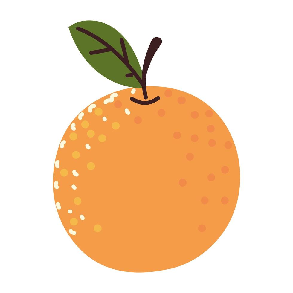 fruta naranja fresca vector