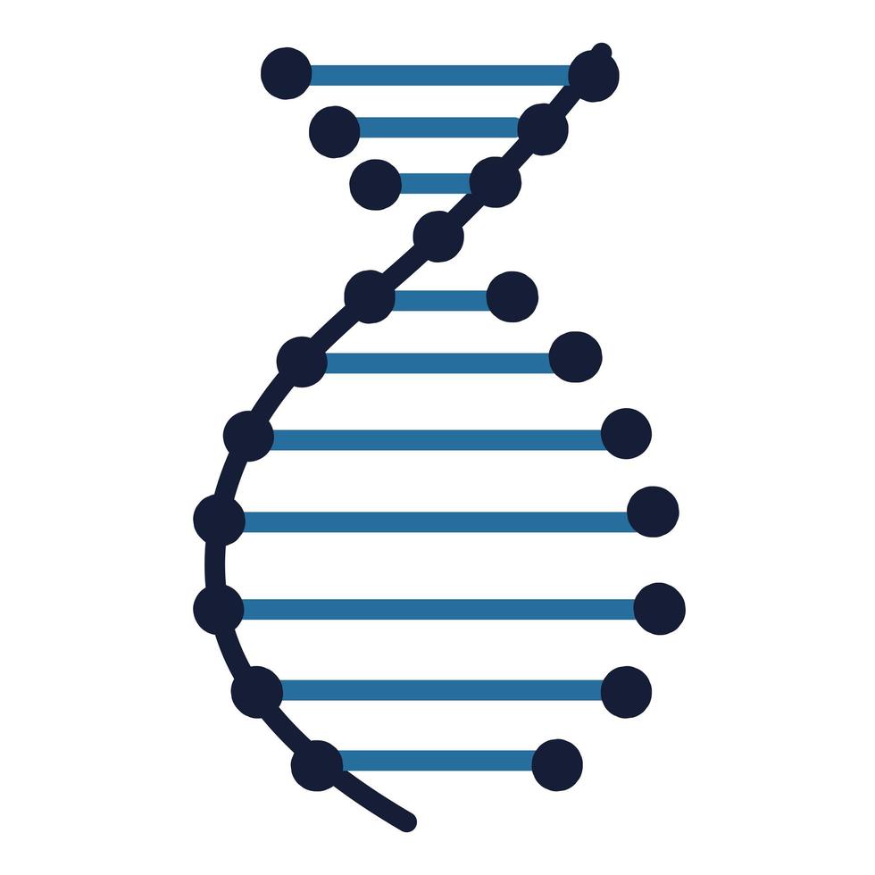 model of dna molecule vector