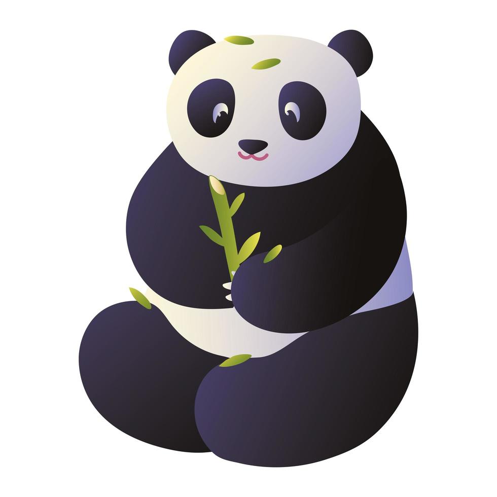 giant panda asian vector