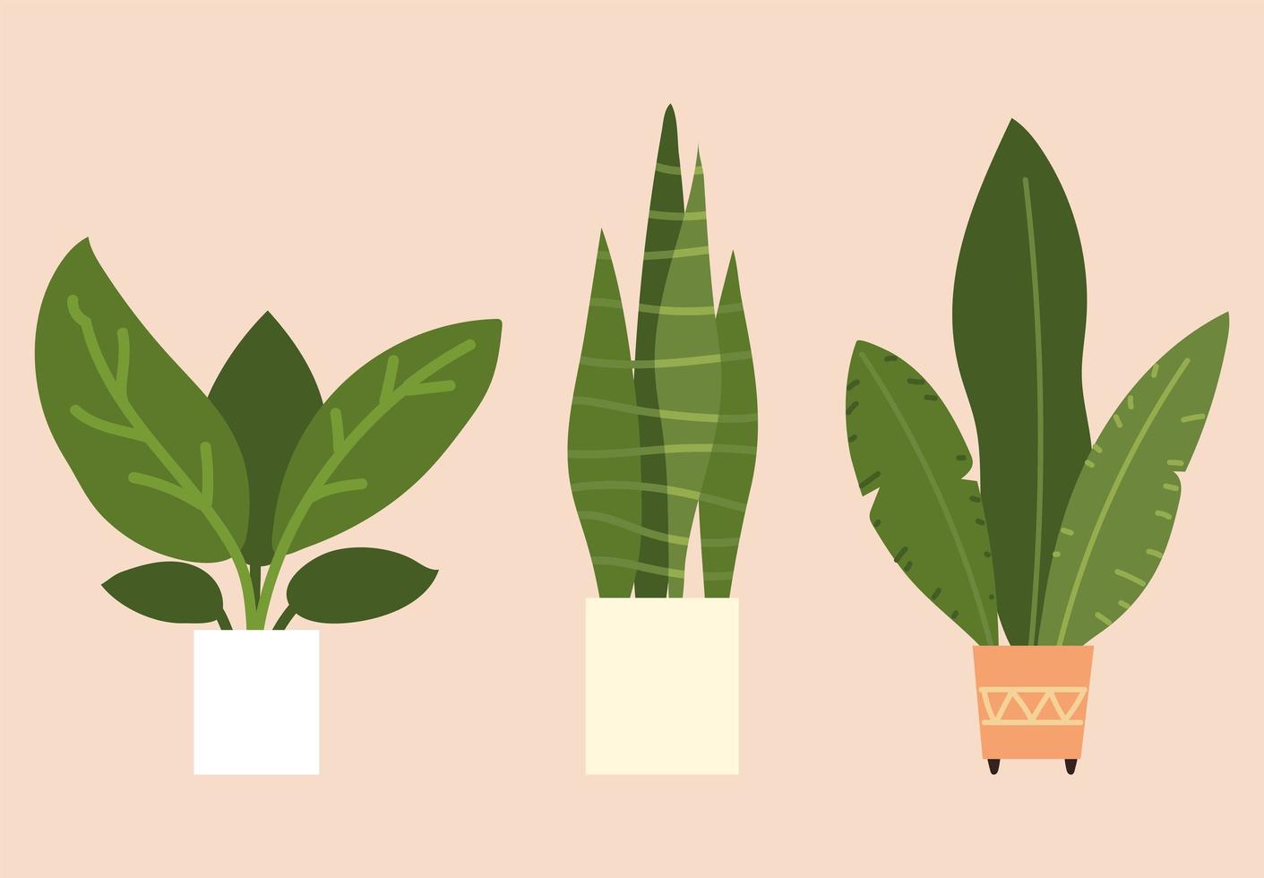 set of houseplants vector