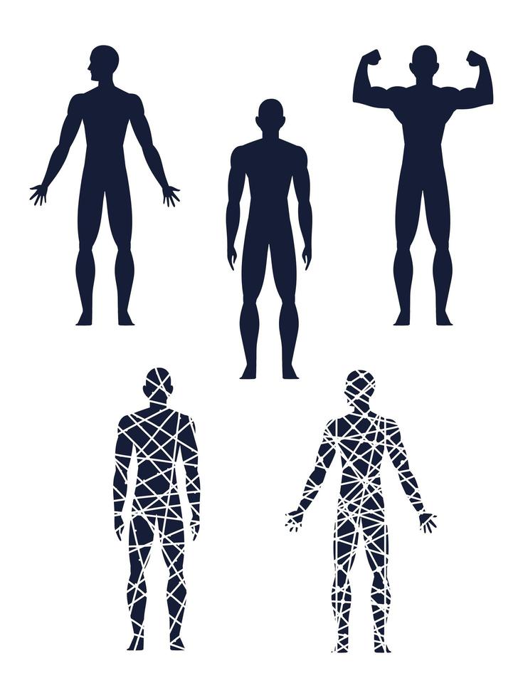 cuerpo humano sano vector