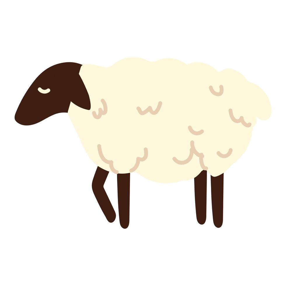 cute sheep animal vector