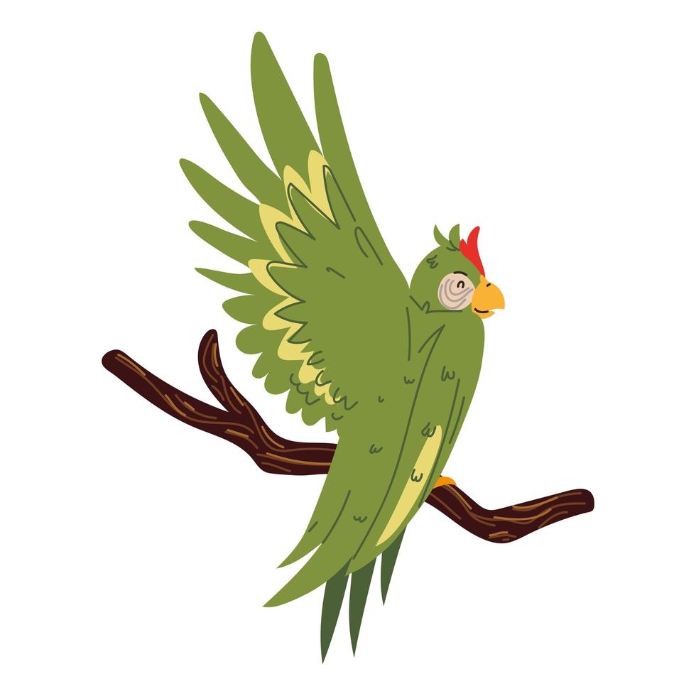 parrot on the branch vector