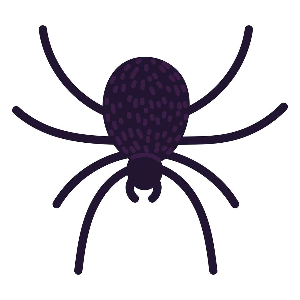 black scary spider vector