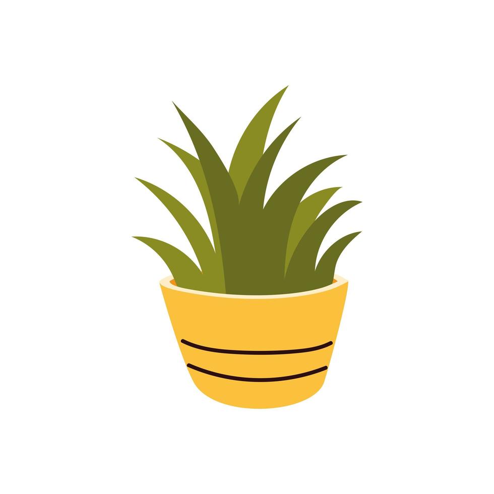 houseplant greenery decoration vector