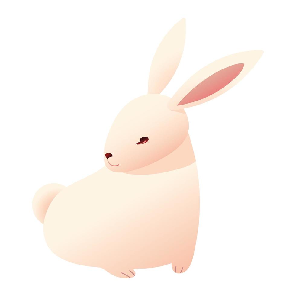 cute white rabbit vector