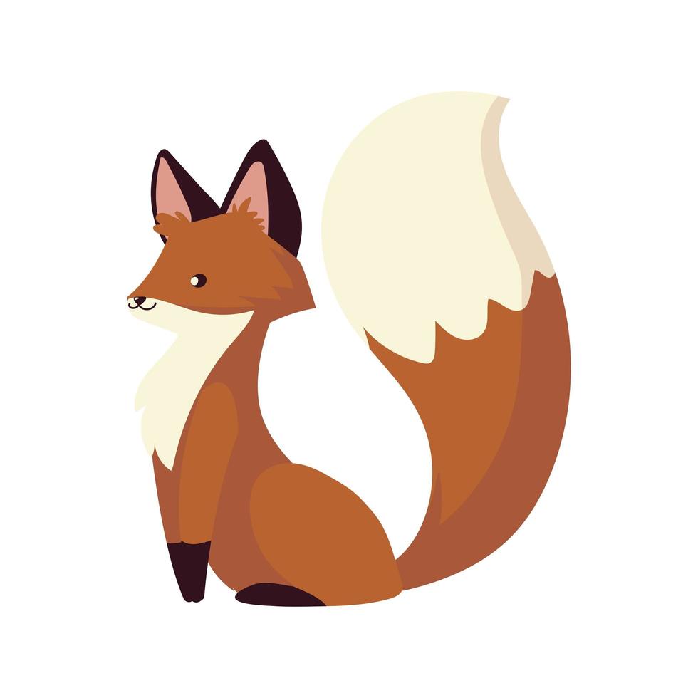 cute fox cartoon fluffy pet animal with beautiful tail vector