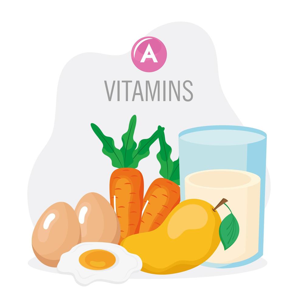 vitamins A food vector