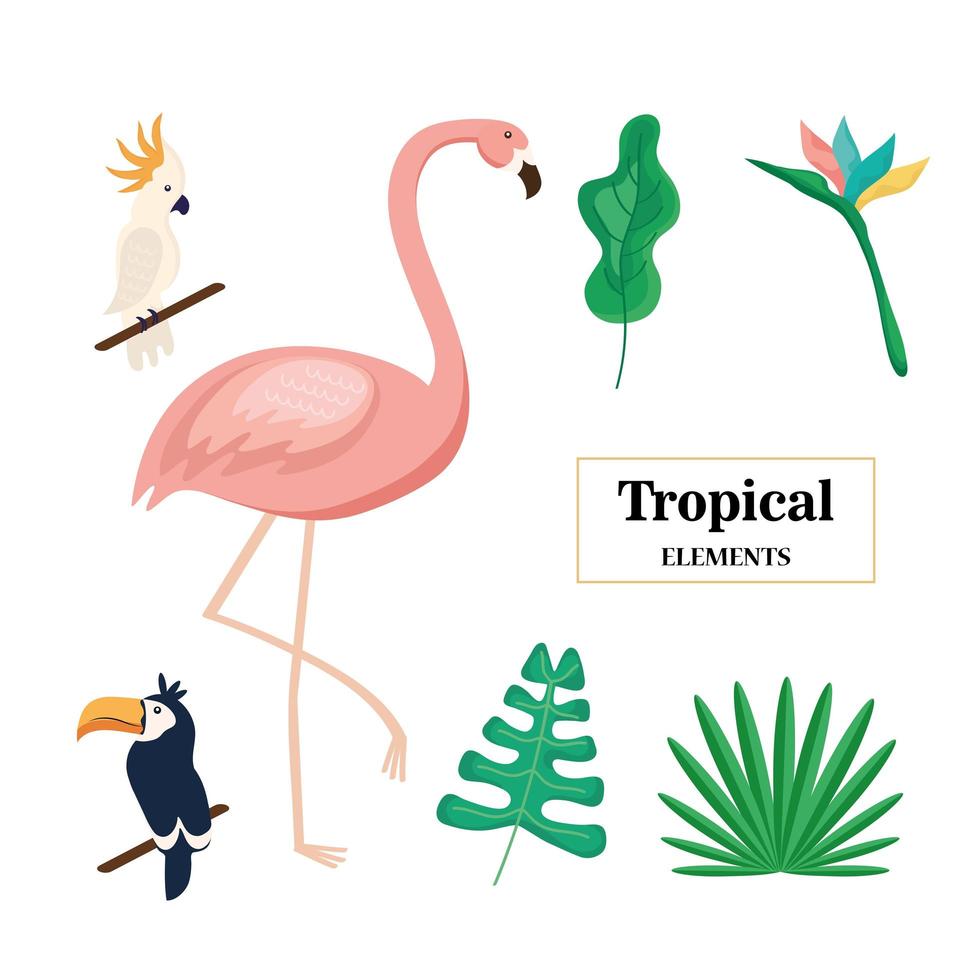 tres animales tropicales vector