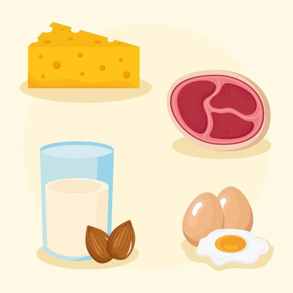 minerals four foods vector