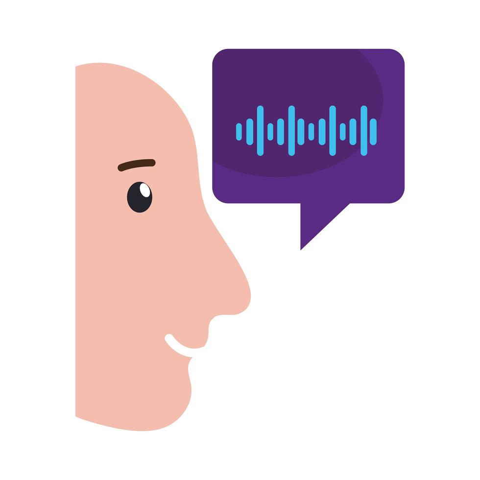 biometric verification voice vector