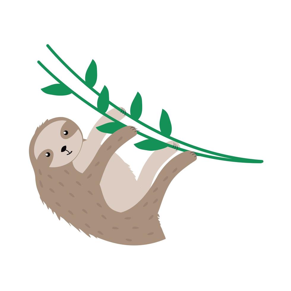 sloth exotic animal vector