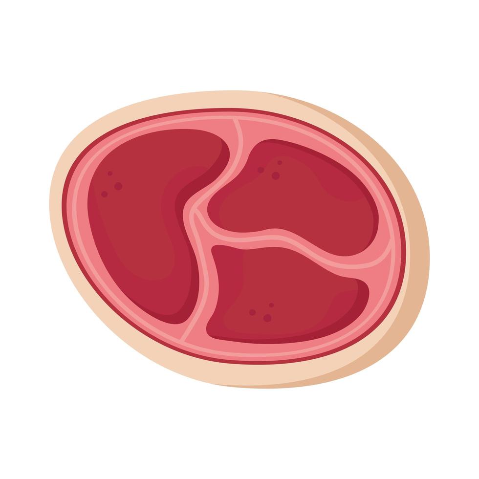 red meat steak vector