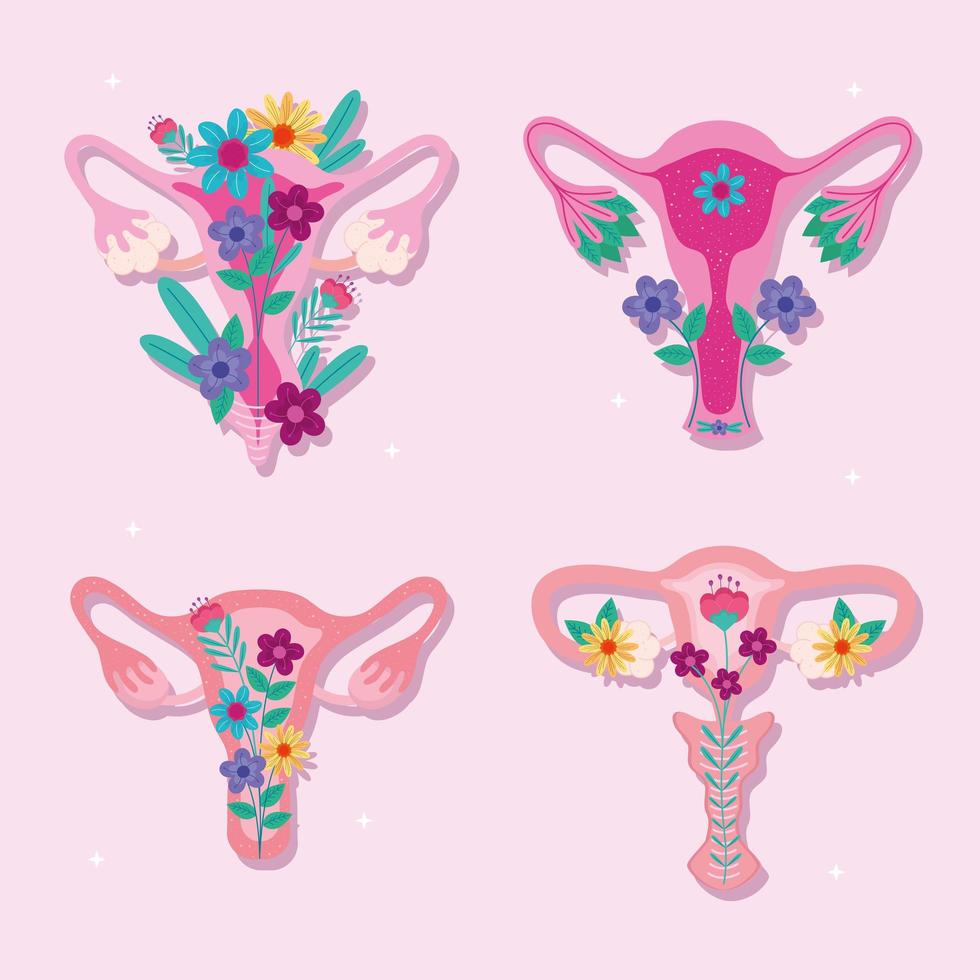vaginas with flowers vector