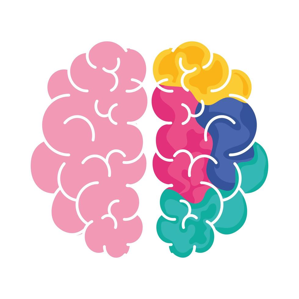 pink and colored brain vector