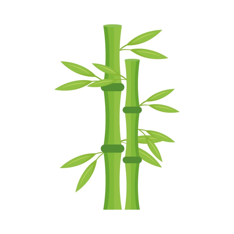 bamboo plant nature vector